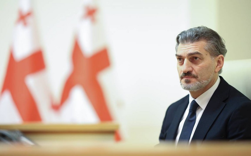 Грузинское общество объединится вокруг трех постулатов Илии Чавчавадзе - Михаил Кавелашвили