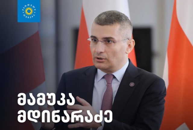 «Нацдвижение» и его сателлиты не смогут принять участие в выборах - Мдинарадзе