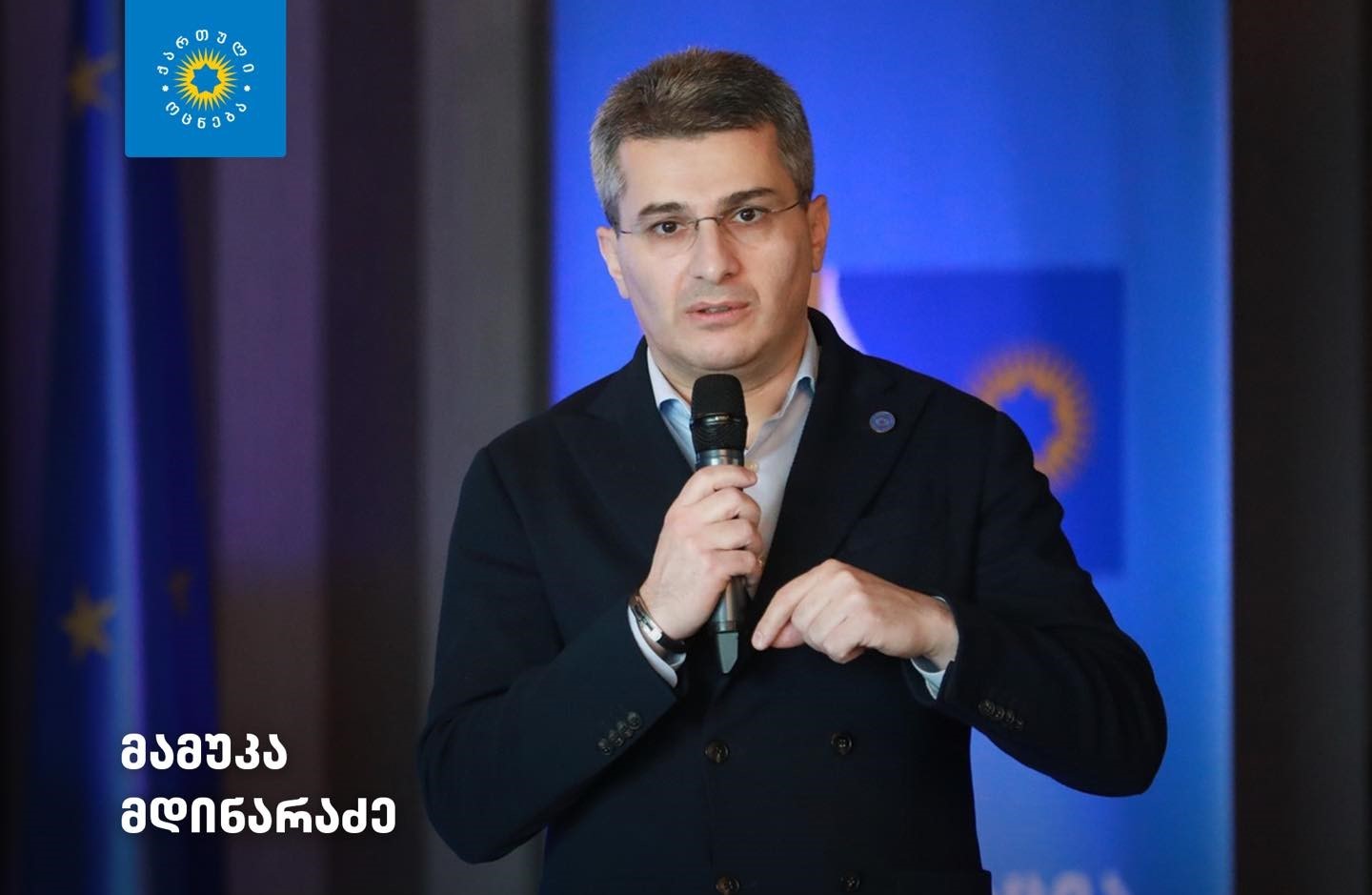 В парламенте Грузии будет создана комиссию по расследованию преступлений "Нацдвижения"- Мдинарадзе