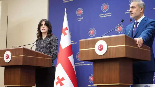 Визит министра иностранных дел Грузии в Турцию