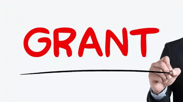 Общественные организации Грузии смогут получить финансирование от Агентство управления государственными грантами