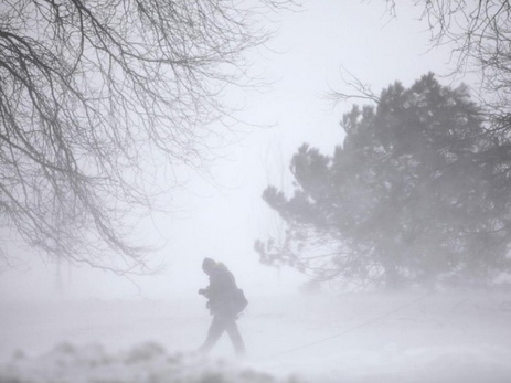 Силы обороны Грузии оказывают помощь жителям Западной Грузии пострадавшим от снегопада
