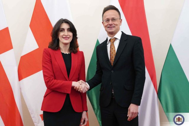 Визит министра иностранных дел Грузии в Венгрию