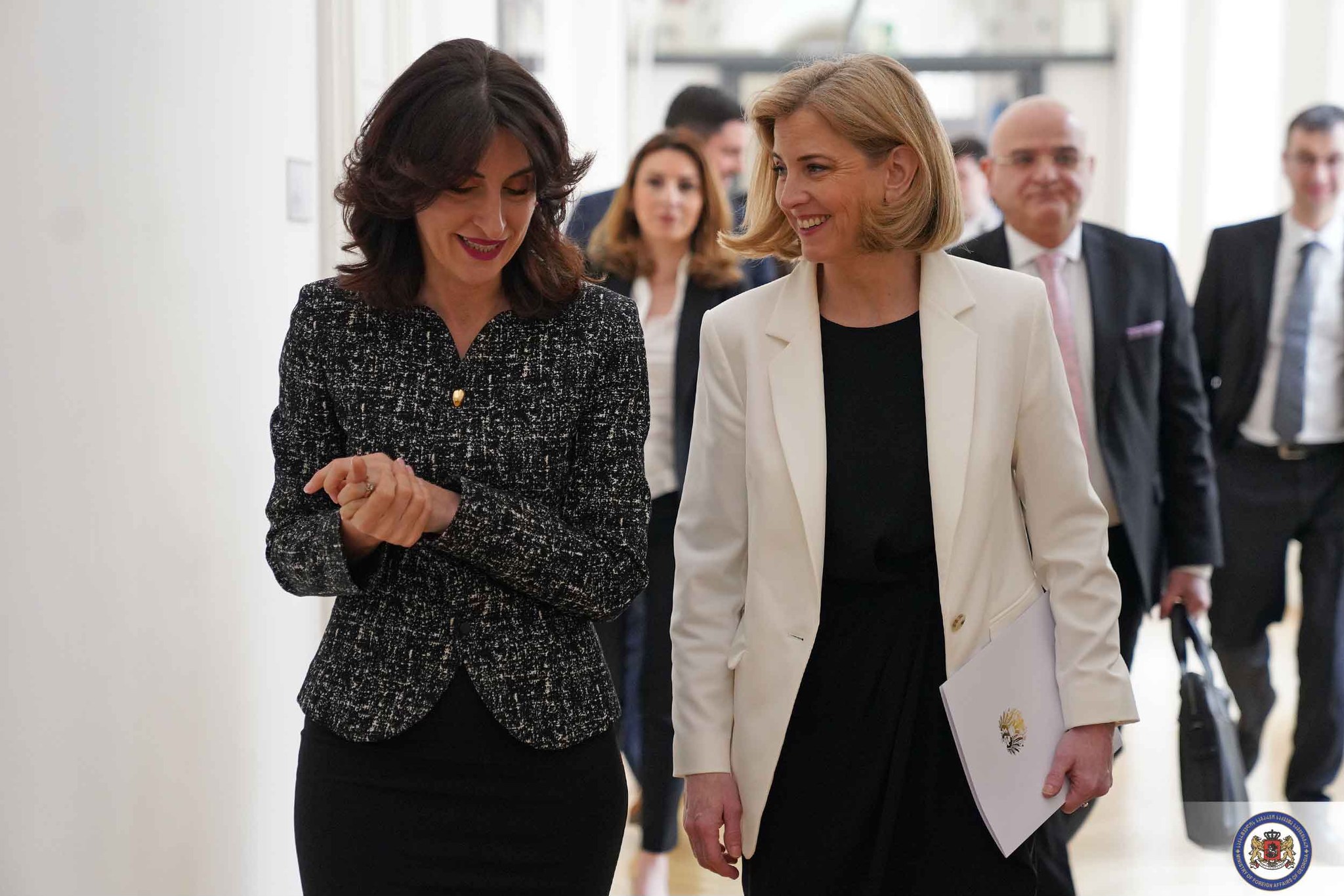 Визит министра иностранных дел Грузии в Австрию