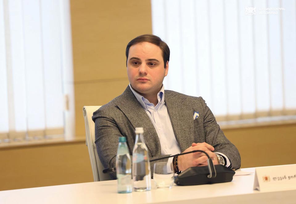 В Грузии создают Департамент эффективности деятельности правительства - аналог американского DOGE