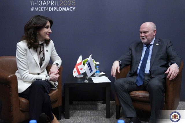 Визит Генерального секретаря ОБСЕ в Тбилиси