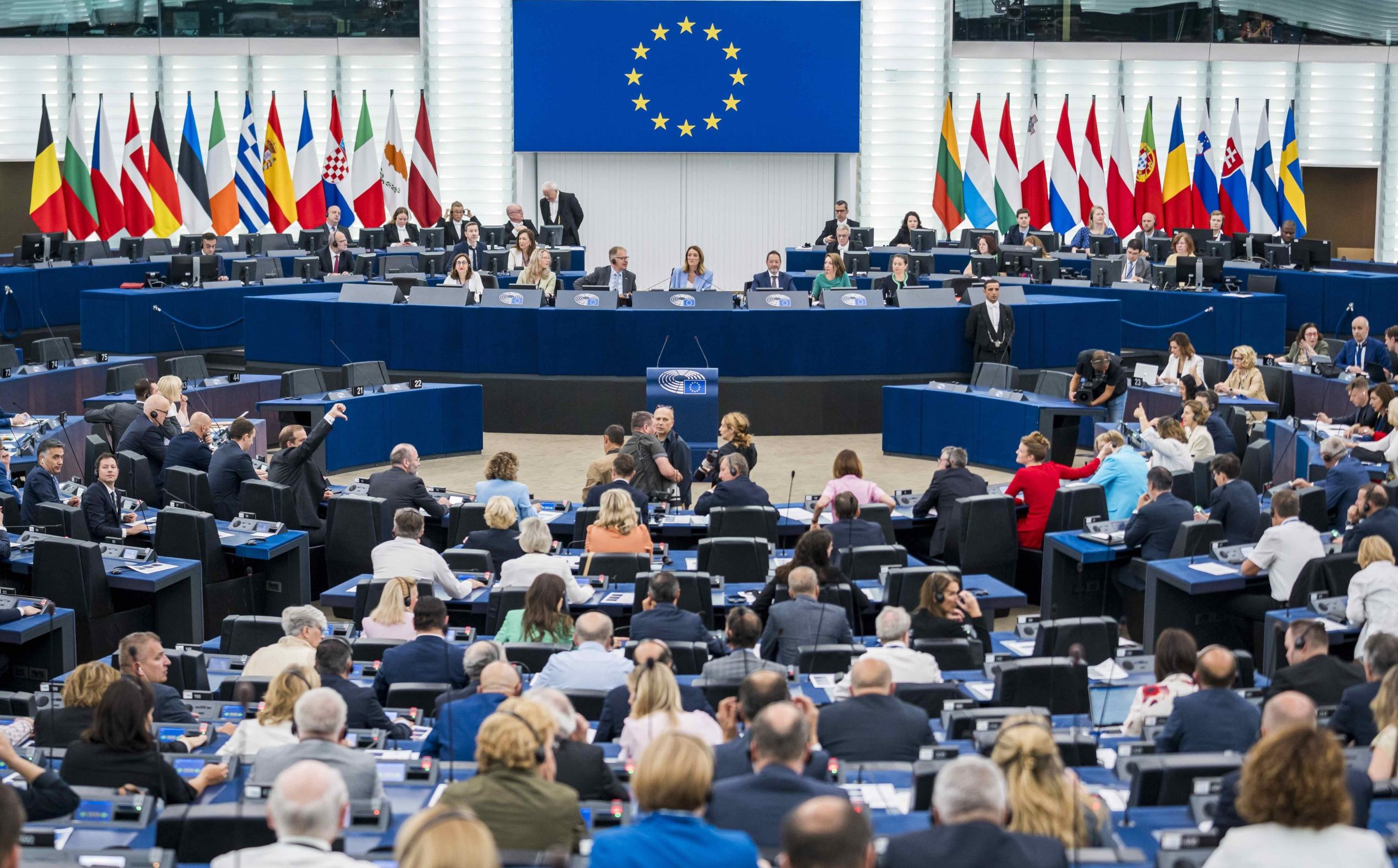 Депутаты Европарламента считают Грузию жертвой захвата государства