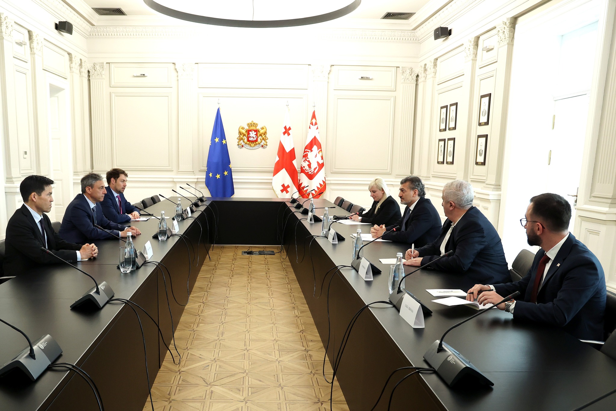 Михаил Кавелашвили встретился с исполнительным директором МВФ