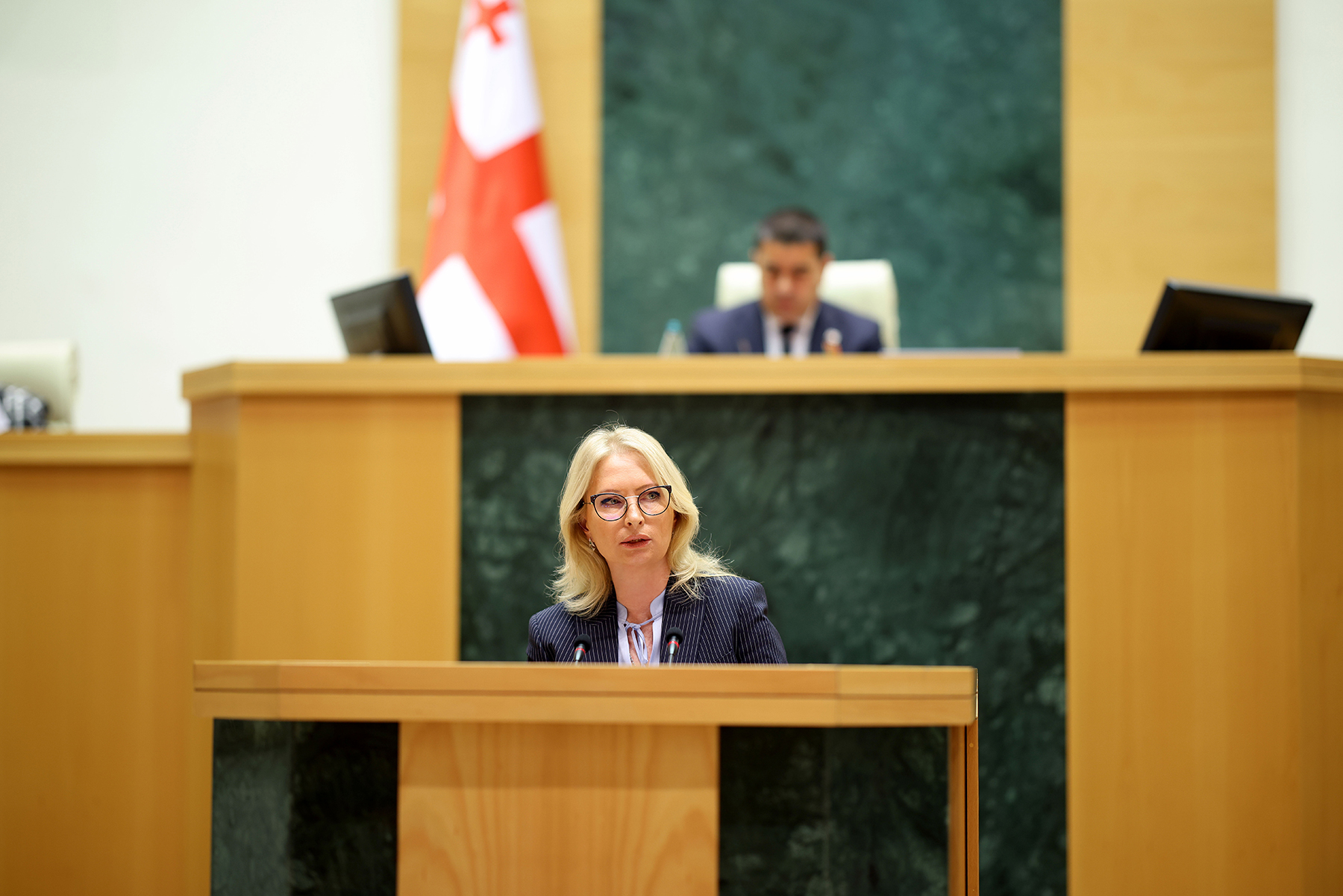 Натия Турнава представила парламенту Грузии отчёт деятельности Национального банка за 2024 год