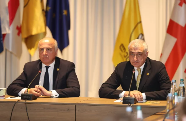 Хазарадзе и Джапаридзе проиграли спор по делу о порте Анаклия