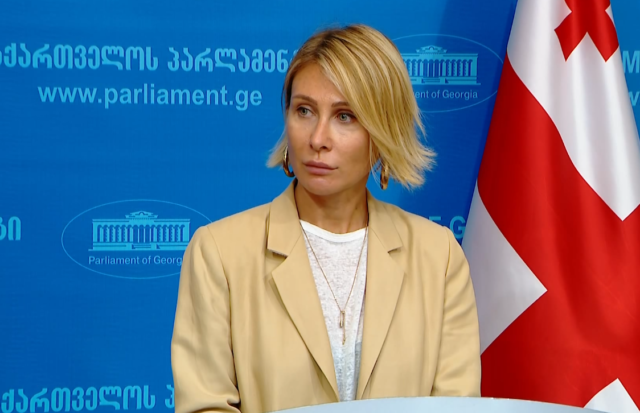 Мигранты могут вернуться в Грузию и найти достойную работу – Нино Цилосани