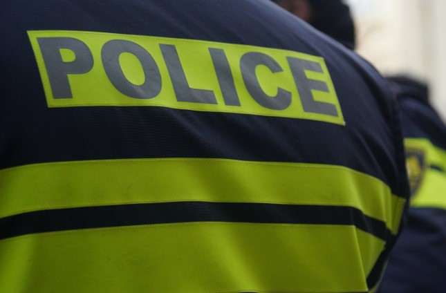 МВД Грузии получит право на осмотр жилья и рабочих мест иностранцев