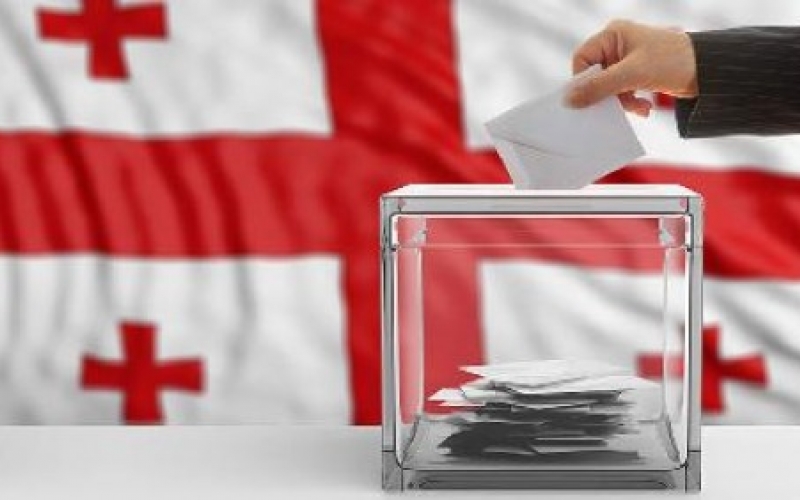 Восемь оппозиционных партий не будут участвовать в муниципальных выборах в Грузии