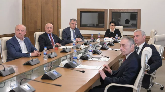 Цулукиани: Заключение Временной следственной комиссии обнародуют в сентябр