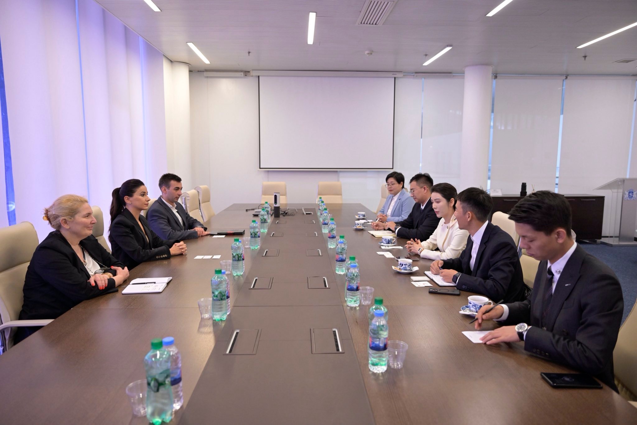 Zhongbo Group рассматривает возможности инвестирования в энергетику Грузии