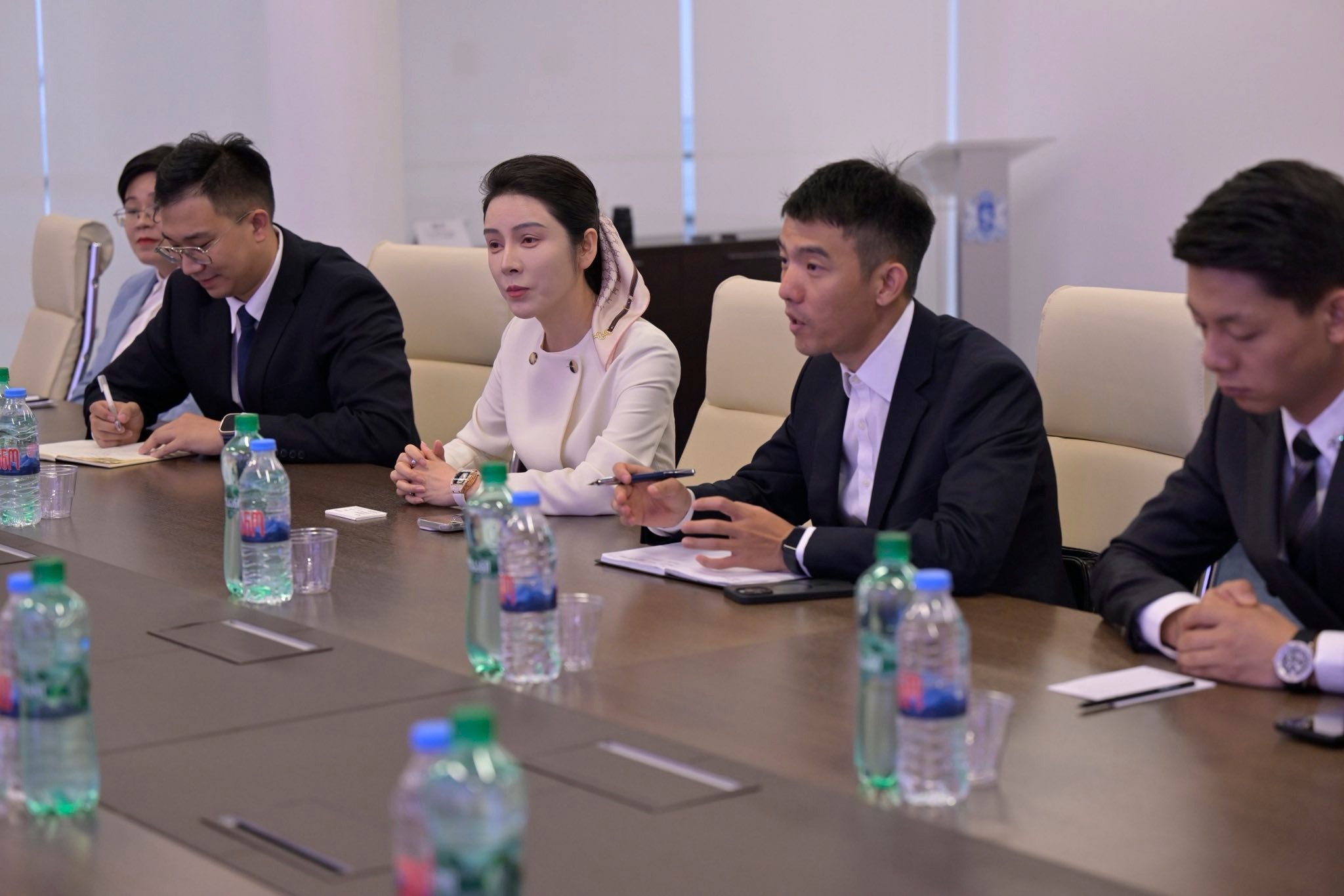 Zhongbo Group рассматривает возможности инвестирования в энергетику Грузии