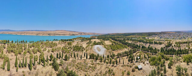 Каладзе обещает «ускоренными темпами» завершить перенос столичного зоопарка