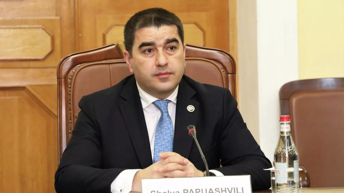 Власти не позволят вернуть Грузию в хаос 90-х годов - Папуашвили