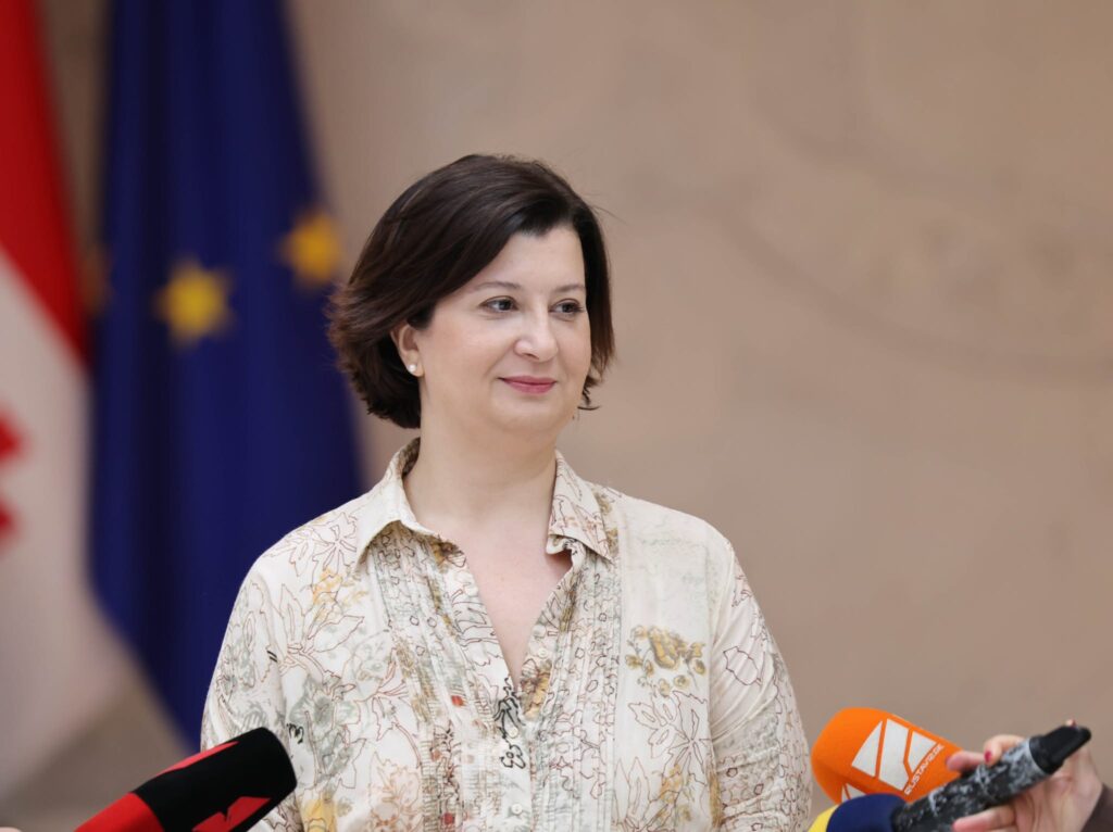 Гранты от государства до 100 тысяч лари получили 17 организаций из 247 - Тамар Зoделава