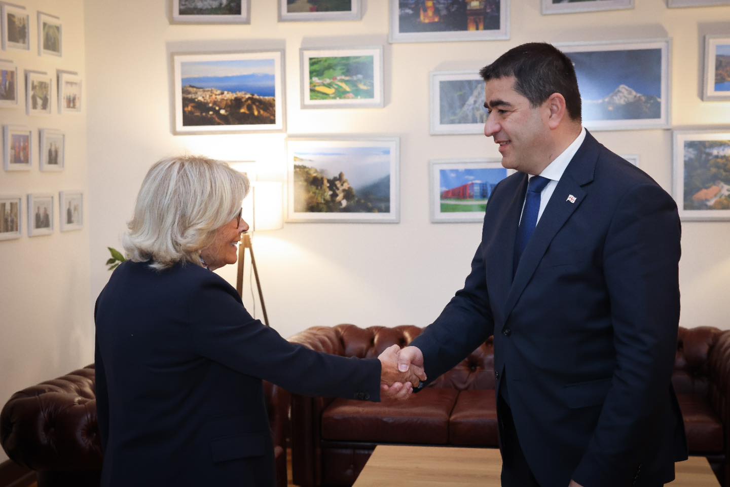 Представители ПАСЕ посетили Грузию