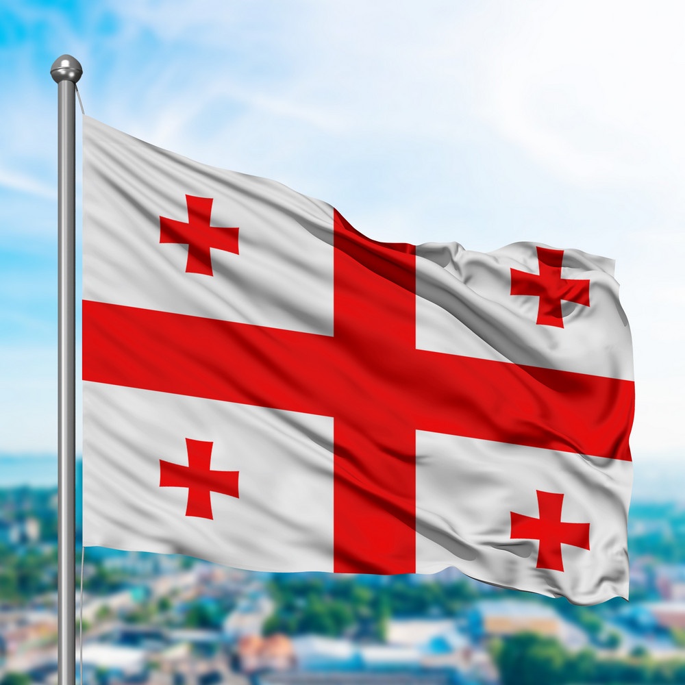 С 1 января 2026 года иностранным гражданам для въезда в Грузию потребуется медицинский страховой полис