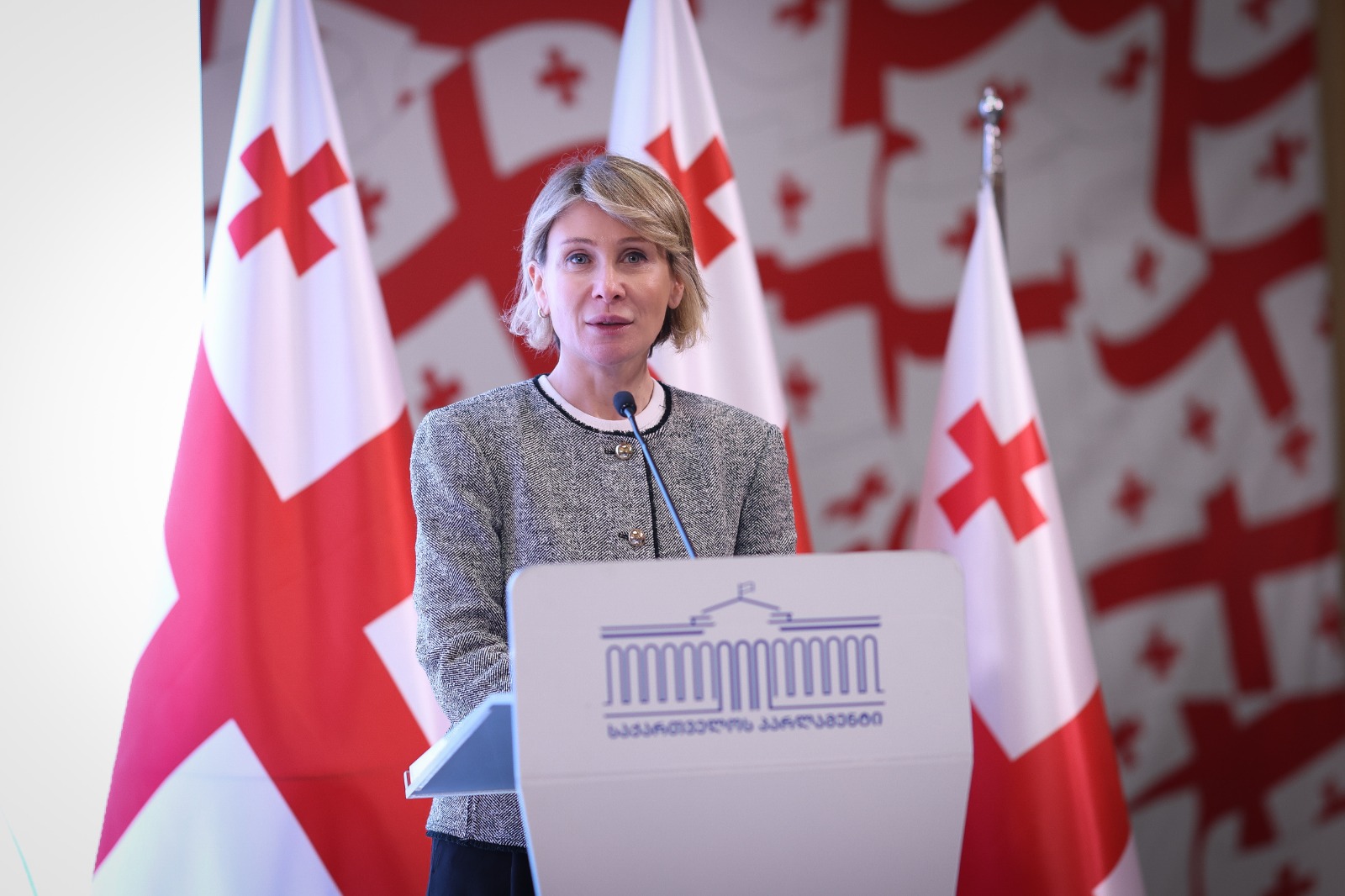 Еврокомиссия приостановила безвизовый режим для граждан Грузии с дипломатическими и служебными паспортами