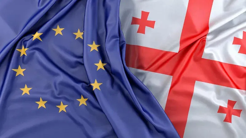 Заявление Представительства Евросоюза в Грузии